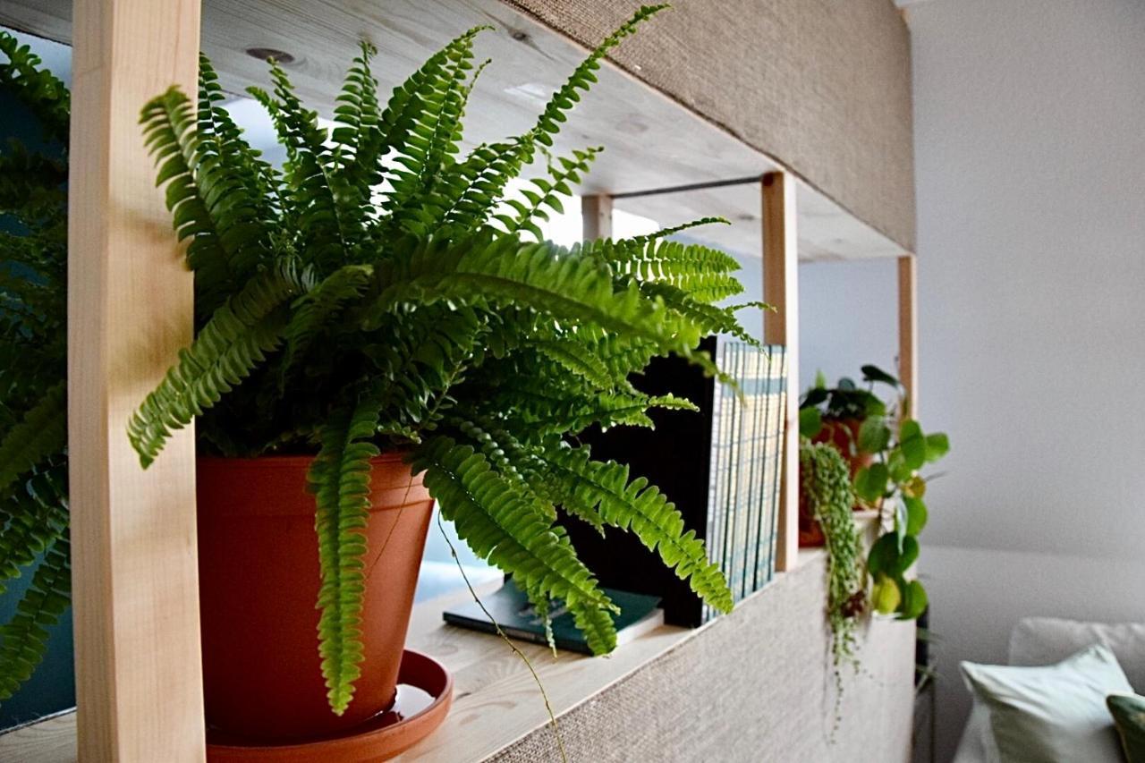 Greenbnbs: Cozy Urban Jungle In The City Centre Essen Exterior photo